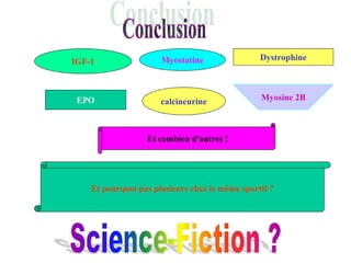 IGF-1 Myostatine calcineurine EPO Dystrophine Et combien d'autres ! Et pourquoi pas plusieurs chez le même sportif ? Myosine 2B 
