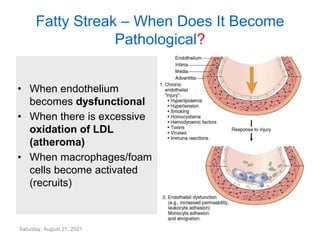 Saturday, August 21, 2021
Fatty Streak – When Does It Become
Pathological?
• When endothelium
becomes dysfunctional
• When there is excessive
oxidation of LDL
(atheroma)
• When macrophages/foam
cells become activated
(recruits)
 
