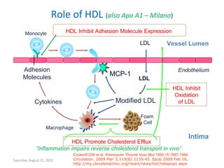 Saturday, August 21, 2021
Role of HDL (also Apo A1 – Milano)
LDL
LDL
Endothelium
Vessel Lumen
Monocyte
Modified LDL
Macrophage
MCP-1
Adhesion
Molecules
Cytokines
Intima
HDL Inhibit
Oxidation
of LDL
HDL Inhibit Adhesion Molecule Expression
Foam
Cell
HDL Promote Cholesterol Efflux
“Inflammation impairs reverse cholesterol transport in vivo”
Cockerill GW et al. Arterioscler Thromb Vasc Biol 1995;15:1987-1994.
Circulation. 2009 Mar 3;119(8):1135-45. Epub 2009 Feb 16.
http://my.clevelandclinic.org/heart/news/hot/hdlapoa1.aspx
 
