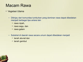 Vegetasi Rawa Pengenalan lahan Basah di Indonesia Umumnya | PPT
