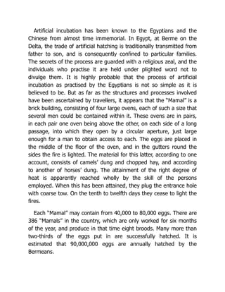 Artificial incubation has been known to the Egyptians and the
Chinese from almost time immemorial. In Egypt, at Berme on the
Delta, the trade of artificial hatching is traditionally transmitted from
father to son, and is consequently confined to particular families.
The secrets of the process are guarded with a religious zeal, and the
individuals who practise it are held under plighted word not to
divulge them. It is highly probable that the process of artificial
incubation as practised by the Egyptians is not so simple as it is
believed to be. But as far as the structures and processes involved
have been ascertained by travellers, it appears that the “Mamal” is a
brick building, consisting of four large ovens, each of such a size that
several men could be contained within it. These ovens are in pairs,
in each pair one oven being above the other, on each side of a long
passage, into which they open by a circular aperture, just large
enough for a man to obtain access to each. The eggs are placed in
the middle of the floor of the oven, and in the gutters round the
sides the fire is lighted. The material for this latter, according to one
account, consists of camels’ dung and chopped hay, and according
to another of horses’ dung. The attainment of the right degree of
heat is apparently reached wholly by the skill of the persons
employed. When this has been attained, they plug the entrance hole
with coarse tow. On the tenth to twelfth days they cease to light the
fires.
Each “Mamal” may contain from 40,000 to 80,000 eggs. There are
386 “Mamals” in the country, which are only worked for six months
of the year, and produce in that time eight broods. Many more than
two-thirds of the eggs put in are successfully hatched. It is
estimated that 90,000,000 eggs are annually hatched by the
Bermeans.
 