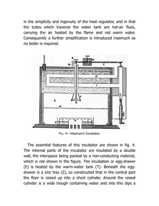 in the simplicity and ingenuity of the heat regulator, and in that
the tubes which traverse the water tank are hot-air flues,
carrying the air heated by the flame and not warm water.
Consequently a further simplification is introduced inasmuch as
no boiler is required.
Fig. 4.—Hearson’s Incubator.
The essential features of this incubator are shown in fig. 4.
The internal parts of the incubator are insulated by a double
wall, the interspace being packed by a non-conducting material,
which is not shown in the figure. The incubation or egg-drawer
(E) is heated by the warm-water tank (T). Beneath the egg-
drawer is a zinc tray (Z), so constructed that in the central part
the floor is raised up into a short cylinder. Around the raised
cylinder is a wide trough containing water and into this dips a
 