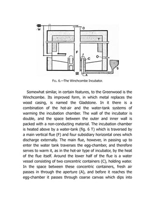 Fig. 6.—The Winchcombe Incubator.
Somewhat similar, in certain features, to the Greenwood is the
Winchcombe. Its improved form, in which metal replaces the
wood casing, is named the Gladstone. In it there is a
combination of the hot-air and the water-tank systems of
warming the incubation chamber. The wall of the incubator is
double, and the space between the outer and inner wall is
packed with a non-conducting material. The incubation chamber
is heated above by a water-tank (fig. 6 T) which is traversed by
a main vertical flue (F) and four subsidiary horizontal ones which
discharge externally. The main flue, however, in passing up to
enter the water tank traverses the egg-chamber, and therefore
serves to warm it, as in the hot-air type of incubator, by the heat
of the flue itself. Around the lower half of the flue is a water
vessel consisting of two concentric containers (C), holding water.
In the space between these concentric containers, fresh air
passes in through the aperture (A), and before it reaches the
egg-chamber it passes through coarse canvas which dips into
 