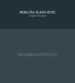 Nebojsa Sladojevic - CV & Portfolio