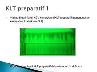 Vial no 5 dari fraksi KCV kemudian diKLT preparatif menggunakan
eluen etanol:n-heksan (9:1)
 Kromatogram hasil KLT preparatif dalam lampu UV -254 nm
 