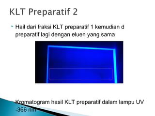 Hail dari fraksi KLT preparatif 1 kemudian d
preparatif lagi dengan eluen yang sama
 Kromatogram hasil KLT preparatif dalam lampu UV
-366 nm
 