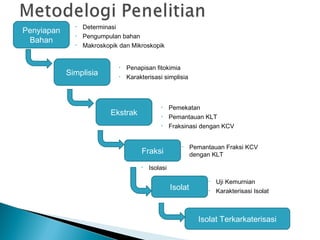 Penyiapan
Bahan
• Determinasi
• Pengumpulan bahan
• Makroskopik dan Mikroskopik
Simplisia
• Penapisan fitokimia
• Karakterisasi simplisia
Ekstrak
• Pemekatan
• Pemantauan KLT
• Fraksinasi dengan KCV
Fraksi
• Pemantauan Fraksi KCV
dengan KLT
Isolat
Isolat Terkarkaterisasi
• Uji Kemurnian
• Karakterisasi Isolat
• Isolasi
 