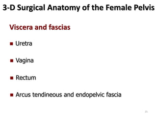 3-D Surgical Anatomy of the Female Pelvis
Viscera and fascias
 Vagina
 Rectum
 Uretra
 Arcus tendineous and endopelvic fascia
25
 