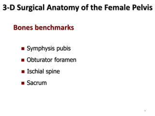 3-D Surgical Anatomy of the Female Pelvis
Bones benchmarks
 Symphysis pubis
 Obturator foramen
 Ischial spine
 Sacrum
4
 