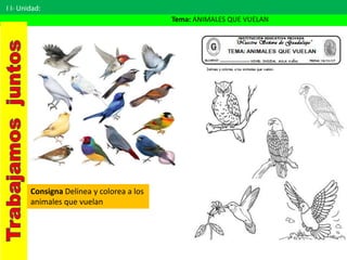 I I- Unidad:
Tema: ANIMALES QUE VUELAN
Consigna Delinea y colorea a los
animales que vuelan
 