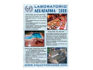 Aquafarma en negocio abierto junio 2013