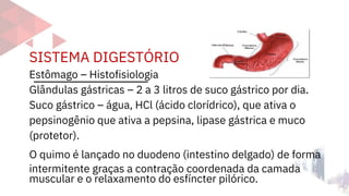 SISTEMA DIGESTÓRIO
Estômago – Histofisiologia
Glândulas gástricas – 2 a 3 litros de suco gástrico por dia.
Suco gástrico – água, HCl (ácido clorídrico), que ativa o
pepsinogênio que ativa a pepsina, lipase gástrica e muco
(protetor).
O quimo é lançado no duodeno (intestino delgado) de forma
intermitente graças a contração coordenada da camada
muscular e o relaxamento do esfíncter pilórico.
 