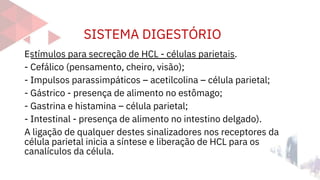 SISTEMA DIGESTÓRIO
Estímulos para secreção de HCL - células parietais.
- Cefálico (pensamento, cheiro, visão);
- Impulsos parassimpáticos – acetilcolina – célula parietal;
- Gástrico - presença de alimento no estômago;
- Gastrina e histamina – célula parietal;
- Intestinal - presença de alimento no intestino delgado).
A ligação de qualquer destes sinalizadores nos receptores da
célula parietal inicia a síntese e liberação de HCL para os
canalículos da célula.
 