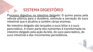 SISTEMA DIGESTÓRIO
Processo digestivo no intestino delgado: O quimo passa pela
válvula pilórica para o duodeno, estimula a secreção do suco
intestinal que é alcalino e contém várias enzimas.
No intestino delgado são lançados o suco biliar e o suco
pancreático. A maior parte dos nutrientes é transformada no
intestino delgado pela ação da bile, do suco pancreático, do
suco intestinal e dos movimentos peristálticos.
 