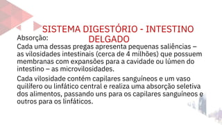 SISTEMA DIGESTÓRIO - INTESTINO
DELGADO
Absorção:
Cada uma dessas pregas apresenta pequenas saliências –
as vilosidades intestinais (cerca de 4 milhões) que possuem
membranas com expansões para a cavidade ou lúmen do
intestino – as microvilosidades.
Cada vilosidade contém capilares sanguíneos e um vaso
quilífero ou linfático central e realiza uma absorção seletiva
dos alimentos, passando uns para os capilares sanguíneos e
outros para os linfáticos.
 