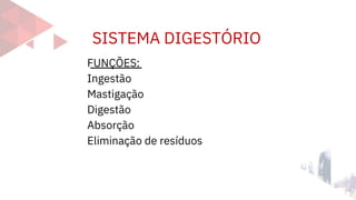 SISTEMA DIGESTÓRIO
FUNÇÕES:
Ingestão
Mastigação
Digestão
Absorção
Eliminação de resíduos
 