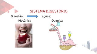 SISTEMA DIGESTÓRIO
Digestão ações:
Mecânica Química
 