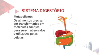 SISTEMA DIGESTÓRIO
células.
Metabolismo:
Os alimentos precisam
ser transformados em
moléculas simples,
para serem absorvidos
e utilizados pelas
 