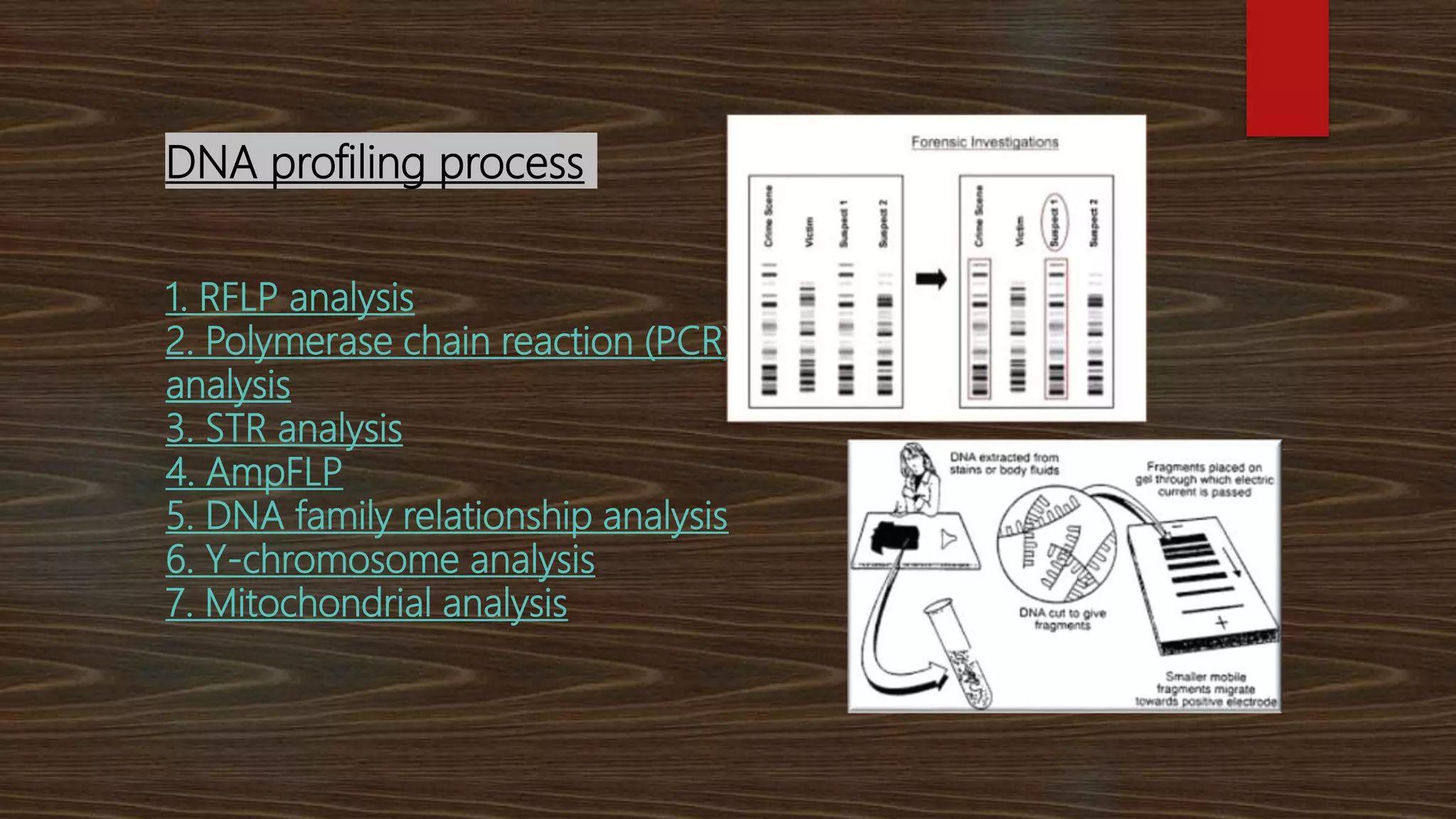 DNA PROFILING | PPTX