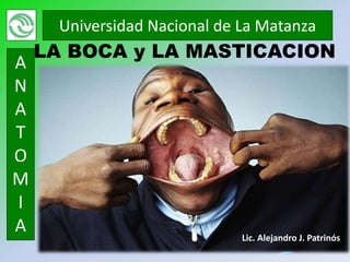 Universidad Nacional de La Matanza
    LA BOCA y LA MASTICACION
A
N
A
T
O
M
I
A                             Lic. Alejandro J. Patrinós
 