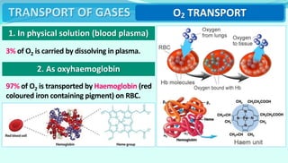 17_breathing_and_exchange_of_gases_1631097583256.ppt