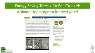 Energy Saving Trees + CA EnerTrees 
A shade tree program for everyone!
 