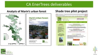 CA EnerTrees deliverables
Analysis of Marin’s urban forest Shade tree pilot project
 