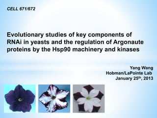 Evolutionary studies of key components of
RNAi in yeasts and the regulation of Argonaute
proteins by the Hsp90 machinery and kinases
CELL 671/672
Yang Wang
Hobman/LaPointe Lab
January 25th, 2013
 