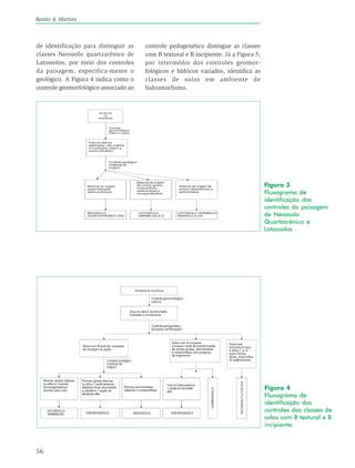 56
Reatto & Martins
de identificação para distinguir as
classes Neossolo quartzarênico de
Latossolos, por meio dos controles
da paisagem, especifica-mente o
geológico. A Figura 4 indica como o
controle geomorfológico associado ao
controle pedogenético distingue as classes
com B textural e B incipiente. Já a Figura 5,
por intermédio dos controles geomor-
fológicos e hídricos variados, identifica as
classes de solos em ambiente de
hidromorfismo.
Figura 3
Fluxograma de
identificação dos
controles da paisagem
de Neossolo
Quartzarênico e
Latossolos .
Figura 4
Fluxograma de
identificação dos
controles das classes de
solos com B textural e B
incipiente.
 
