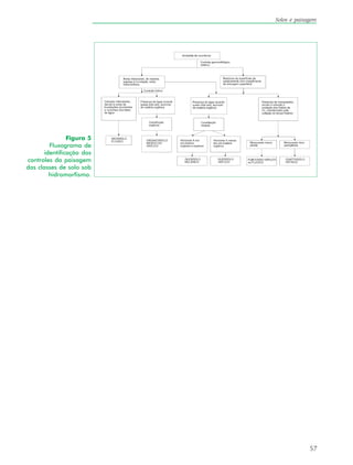 57
Solos e paisagem
Figura 5
Fluxograma de
identificação dos
controles da paisagem
das classes de solo sob
hidromorfismo.
 