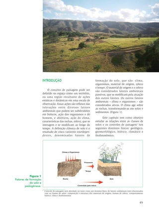 49
Solos e paisagem
INTRODUÇÃO
O conceito de paisagem pode ser
definido no espaço como um território,
ou uma região resultante de ações
estáticas e dinâmicas em uma escala de
observação. Essas ações são reflexos das
interações entre diversos fatores
ambientais que podem ser subdivididos
em bióticos, ação dos organismos e do
homem, e abióticos, ação do clima,
características das rochas, relevo, que se
interagem e se modificam ao longo do
tempo. A definição clássica de solo é o
resultado de cinco variáveis interdepen-
dentes, denominadas fatores de
Figura 1
Fatores de formação
do solo e
pedogênese.
1
Controle de paisagem será abordado no texto como um domínio físico de fatores ambientais inter-relacionados
com as classes de solos: composição e estrutura dos materiais de origem, formas de relevo, comportamento
hídrico, clima e fitofisionomia.
formação do solo, que são: clima,
organismos, material de origem, relevo
e tempo. O material de origem e o relevo
são considerados fatores ambientais
passivos, que se modificam pela atuação
dos outros fatores. Os outros fatores
ambientais – clima e organismos – são
considerados ativos. O clima age sobre
as rochas, transformando-as em solos e
sedimentos (Figura 1).
Este capítulo tem como objetivo
estudar as relações entre as classes de
solos e os controles de paisagem1
nos
seguintes domínios físicos: geológico,
geomorfológico, hídrico, climático e
fitofisionômico.
 