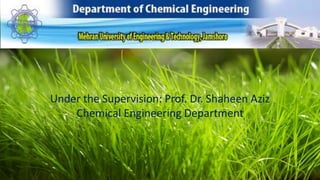 Biomass energy and conversion processes | PPTX