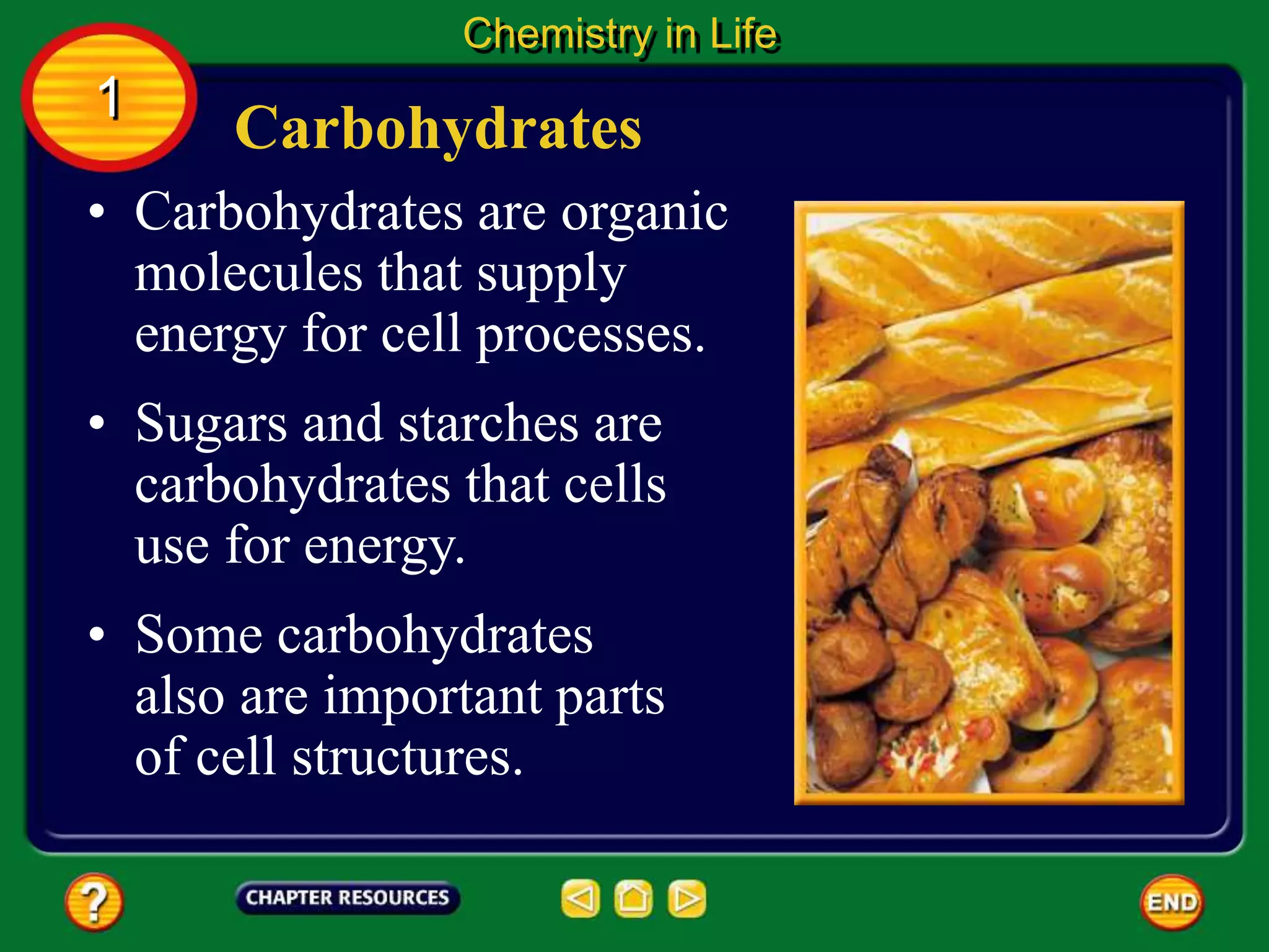• Carbohydrates are organic
molecules that supply
energy for cell processes.
Carbohydrates
Chemistry in Life
1
• Sugars and starches are
carbohydrates that cells
use for energy.
• Some carbohydrates
also are important parts
of cell structures.
 