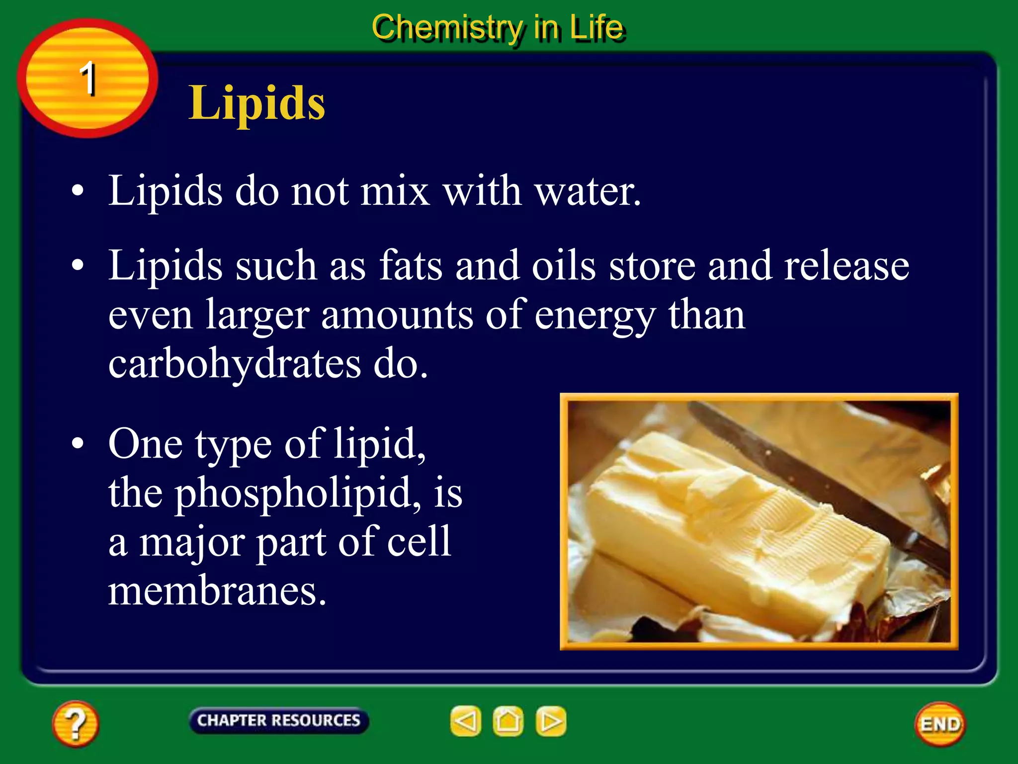 • Lipids do not mix with water.
Lipids
Chemistry in Life
1
• Lipids such as fats and oils store and release
even larger amounts of energy than
carbohydrates do.
• One type of lipid,
the phospholipid, is
a major part of cell
membranes.
 
