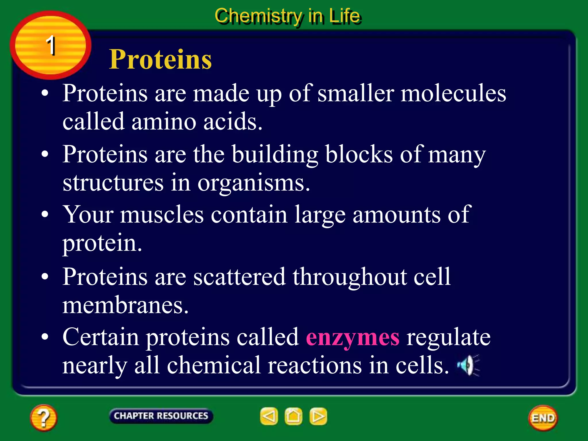 • Certain proteins called enzymes regulate
nearly all chemical reactions in cells.
• Proteins are made up of smaller molecules
called amino acids.
Proteins
Chemistry in Life
1
• Proteins are the building blocks of many
structures in organisms.
• Your muscles contain large amounts of
protein.
• Proteins are scattered throughout cell
membranes.
 