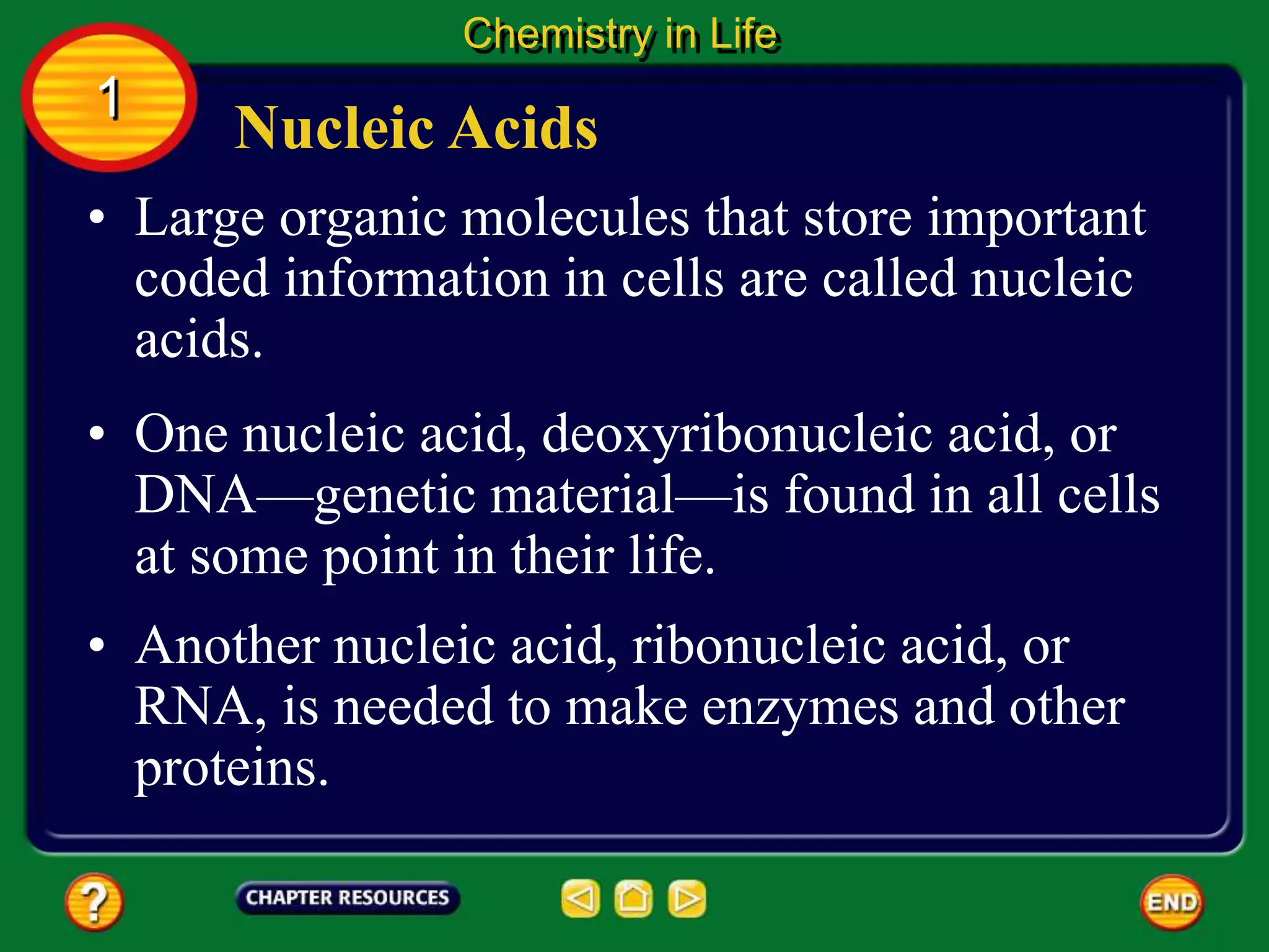 • Another nucleic acid, ribonucleic acid, or
RNA, is needed to make enzymes and other
proteins.
• Large organic molecules that store important
coded information in cells are called nucleic
acids.
Nucleic Acids
Chemistry in Life
1
• One nucleic acid, deoxyribonucleic acid, or
DNA—genetic material—is found in all cells
at some point in their life.
 
