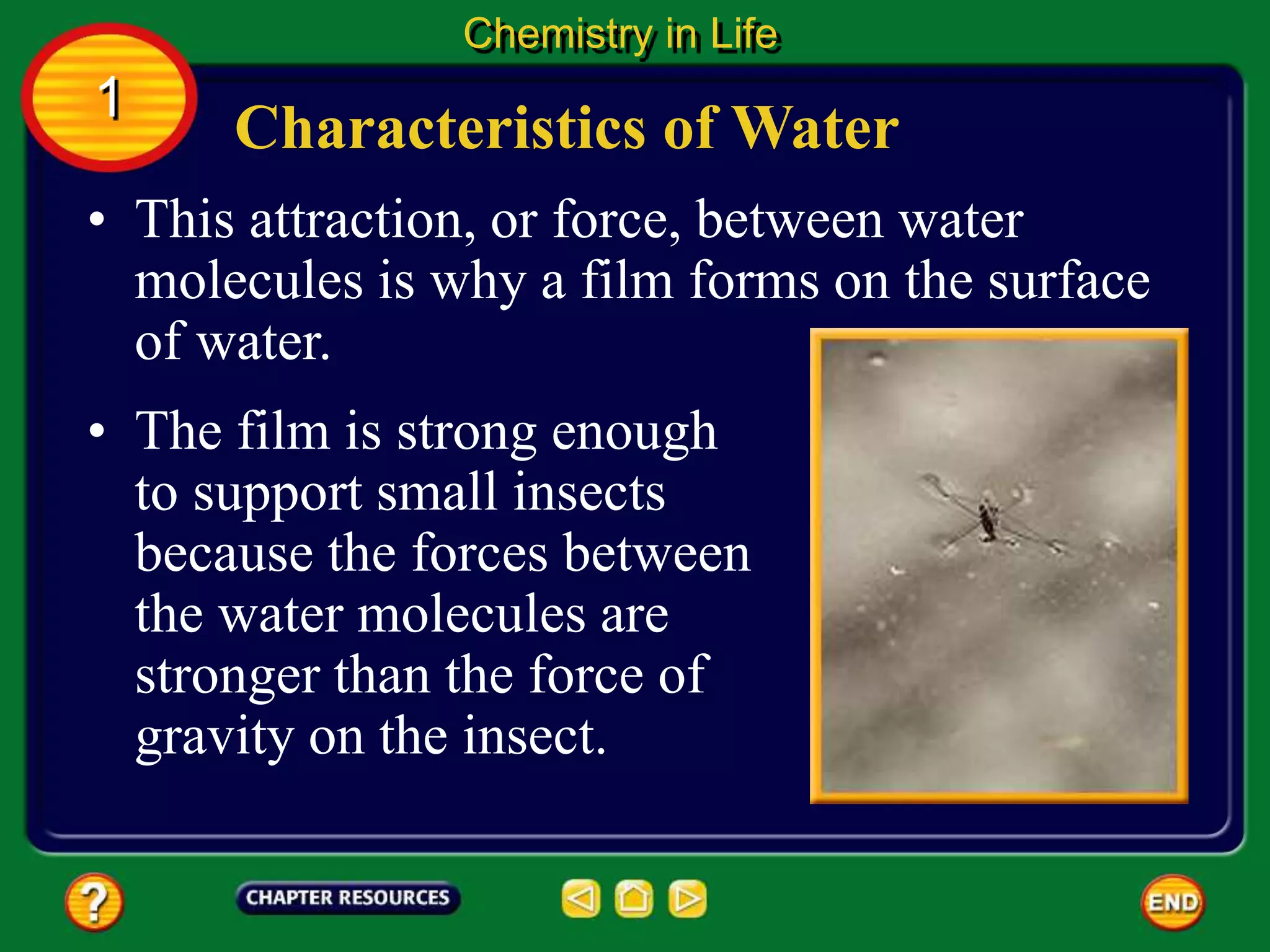 • This attraction, or force, between water
molecules is why a film forms on the surface
of water.
Characteristics of Water
Chemistry in Life
1
• The film is strong enough
to support small insects
because the forces between
the water molecules are
stronger than the force of
gravity on the insect.
 