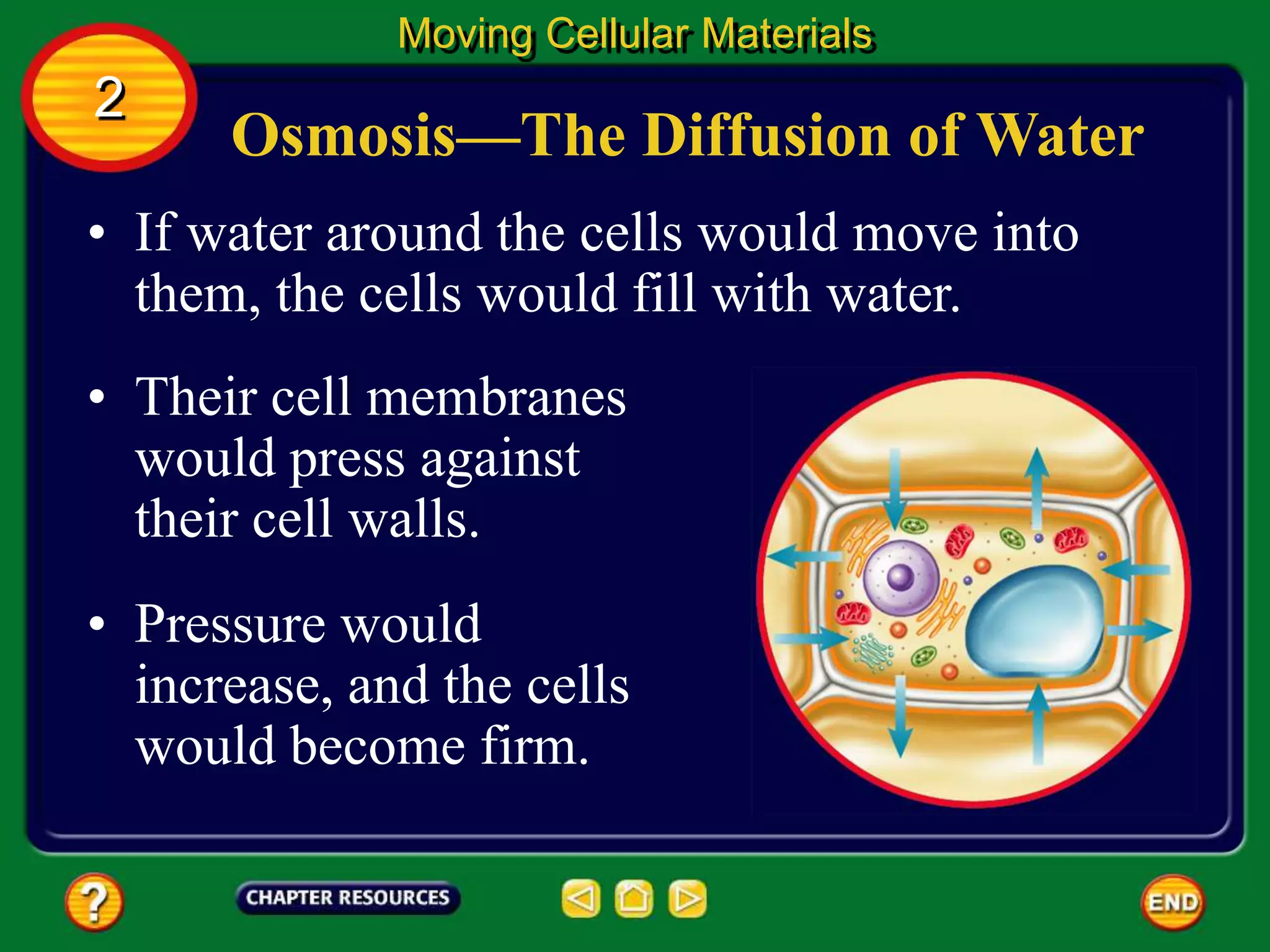 Osmosis—The Diffusion of Water
• If water around the cells would move into
them, the cells would fill with water.
Moving Cellular Materials
2
• Their cell membranes
would press against
their cell walls.
• Pressure would
increase, and the cells
would become firm.
 