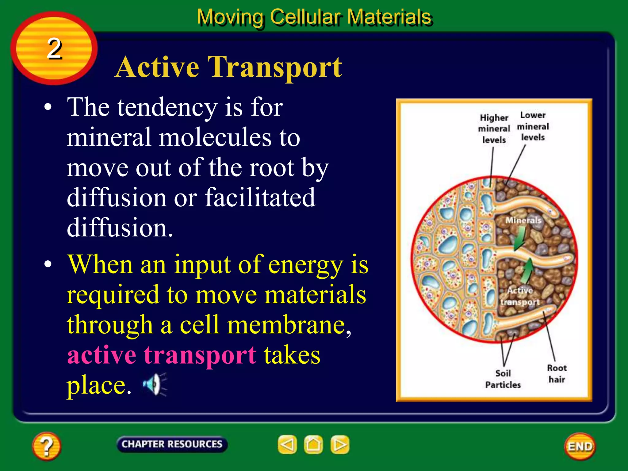 Active Transport
• The tendency is for
mineral molecules to
move out of the root by
diffusion or facilitated
diffusion.
Moving Cellular Materials
2
• When an input of energy is
required to move materials
through a cell membrane,
active transport takes
place.
 