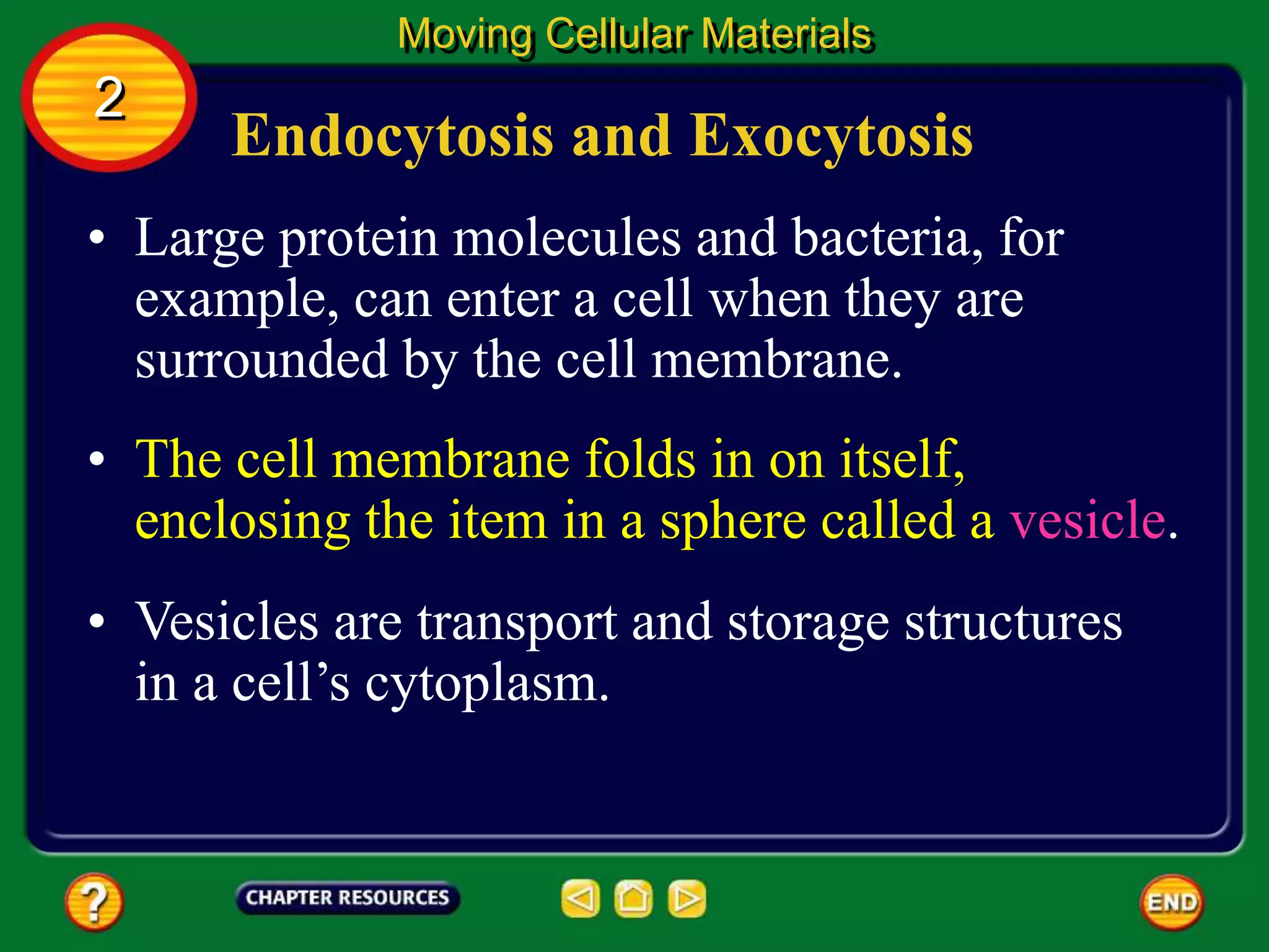 Endocytosis and Exocytosis
• Large protein molecules and bacteria, for
example, can enter a cell when they are
surrounded by the cell membrane.
Moving Cellular Materials
2
• The cell membrane folds in on itself,
enclosing the item in a sphere called a vesicle.
• Vesicles are transport and storage structures
in a cell’s cytoplasm.
 