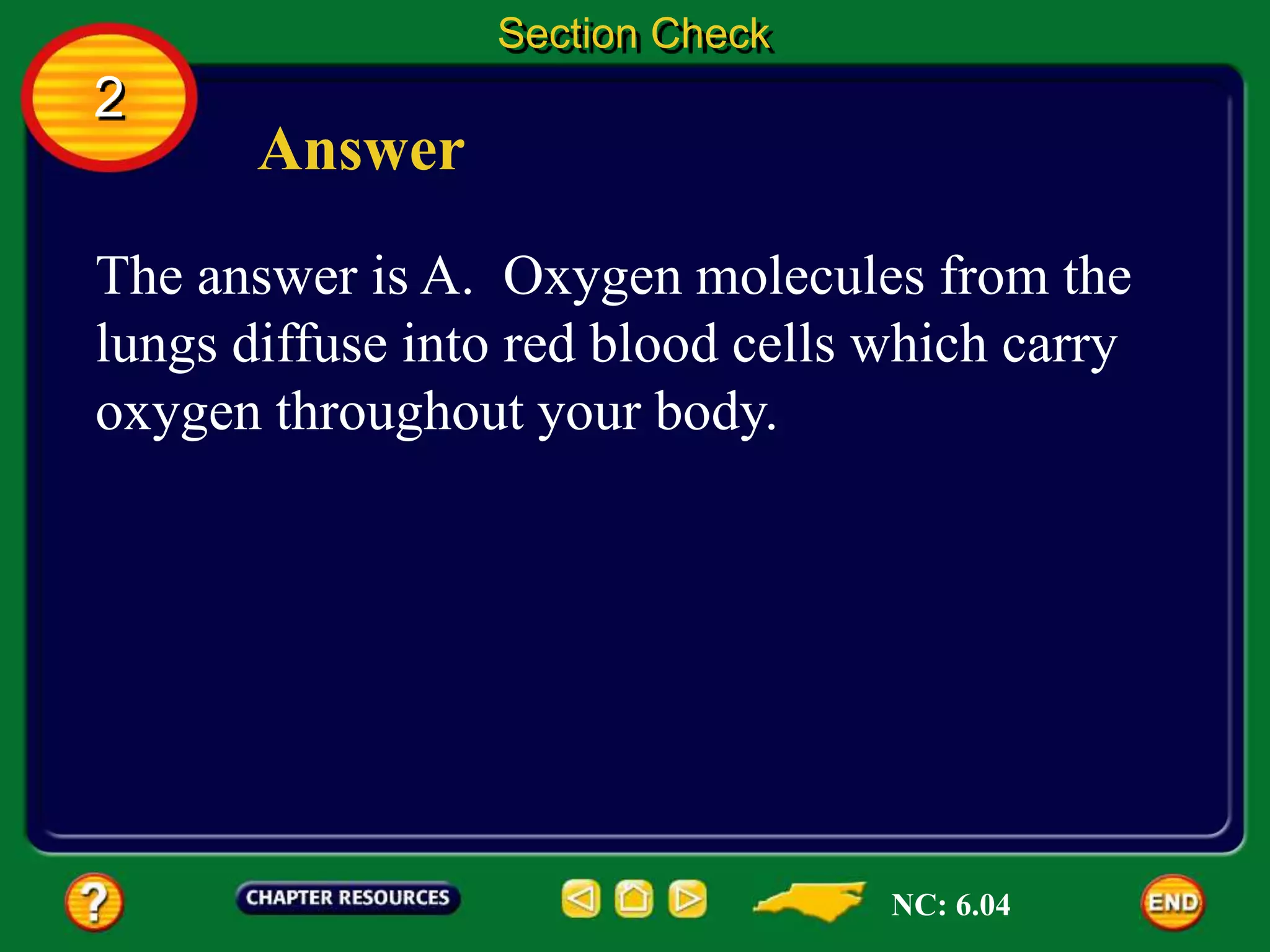 2
Section Check
Answer
The answer is A. Oxygen molecules from the
lungs diffuse into red blood cells which carry
oxygen throughout your body.
NC: 6.04
 