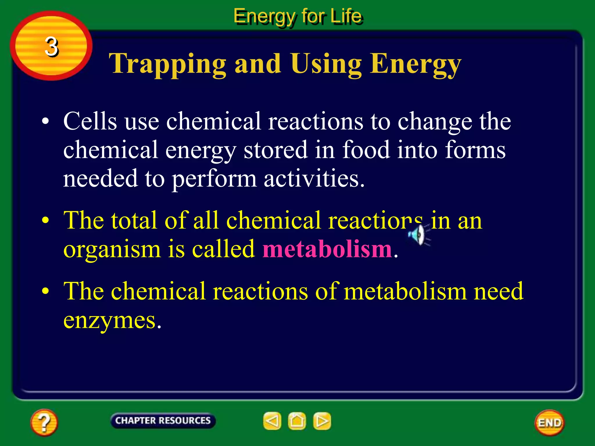 Trapping and Using Energy
• Cells use chemical reactions to change the
chemical energy stored in food into forms
needed to perform activities.
• The total of all chemical reactions in an
organism is called metabolism.
Energy for Life
3
• The chemical reactions of metabolism need
enzymes.
 