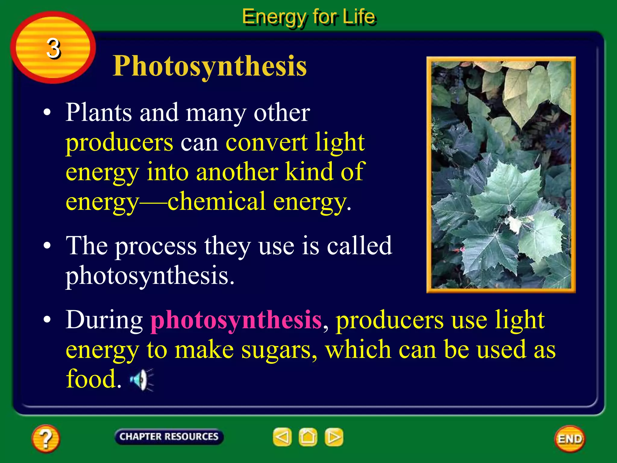 Photosynthesis
• Plants and many other
producers can convert light
energy into another kind of
energy—chemical energy.
• The process they use is called
photosynthesis.
Energy for Life
3
• During photosynthesis, producers use light
energy to make sugars, which can be used as
food.
 