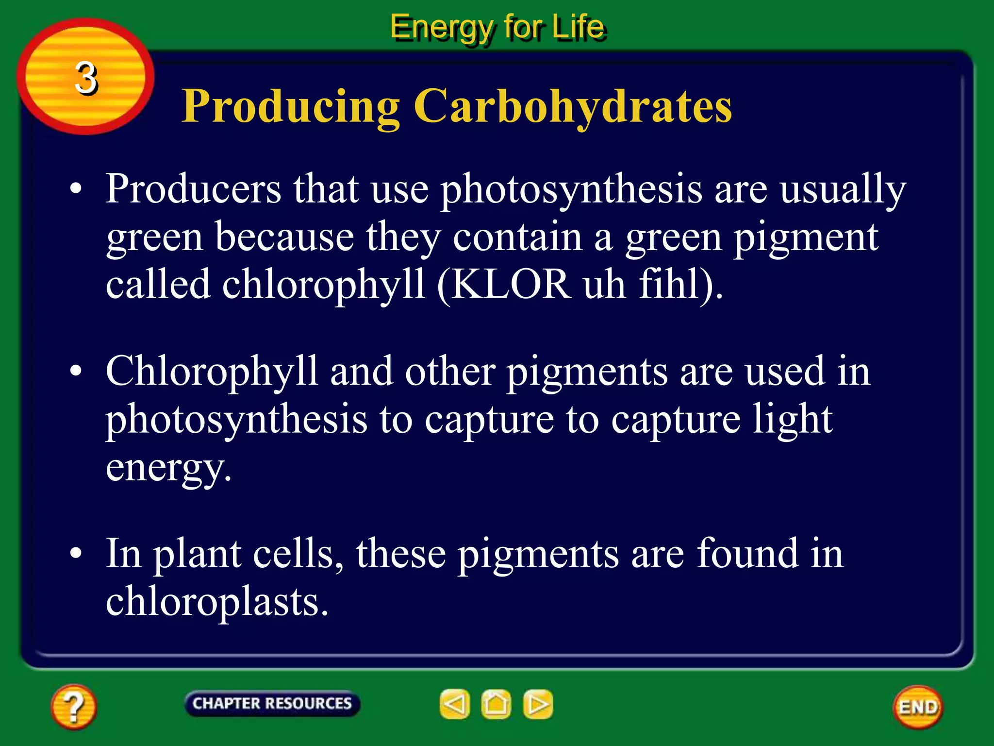 Producing Carbohydrates
• Producers that use photosynthesis are usually
green because they contain a green pigment
called chlorophyll (KLOR uh fihl).
• Chlorophyll and other pigments are used in
photosynthesis to capture to capture light
energy.
Energy for Life
3
• In plant cells, these pigments are found in
chloroplasts.
 