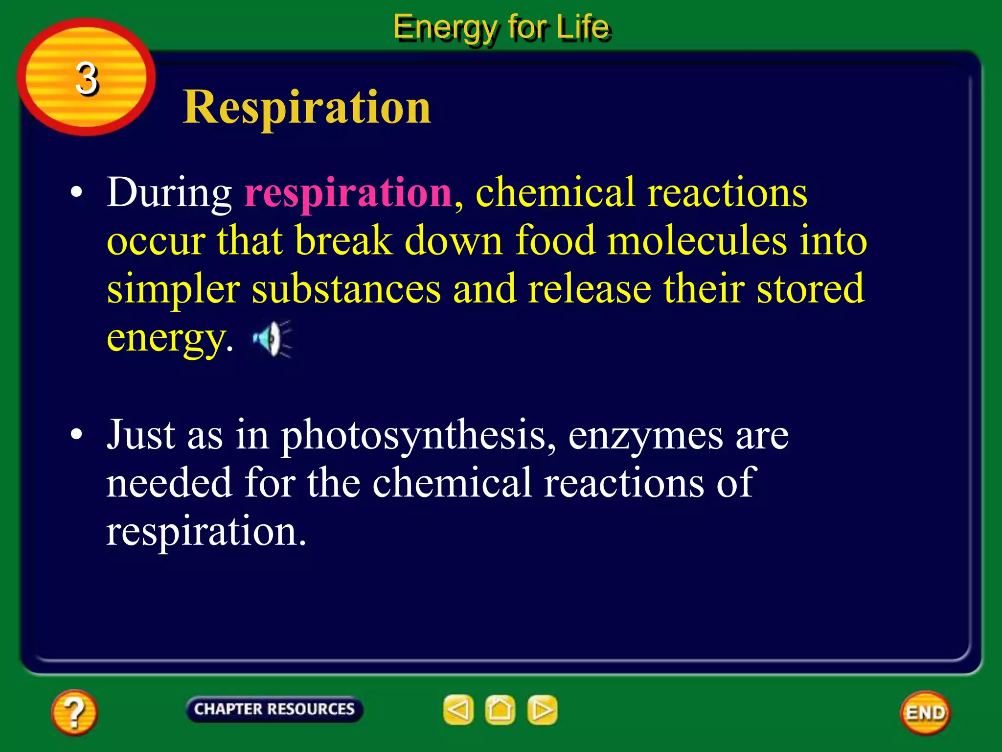 Respiration
• During respiration, chemical reactions
occur that break down food molecules into
simpler substances and release their stored
energy.
Energy for Life
3
• Just as in photosynthesis, enzymes are
needed for the chemical reactions of
respiration.
 