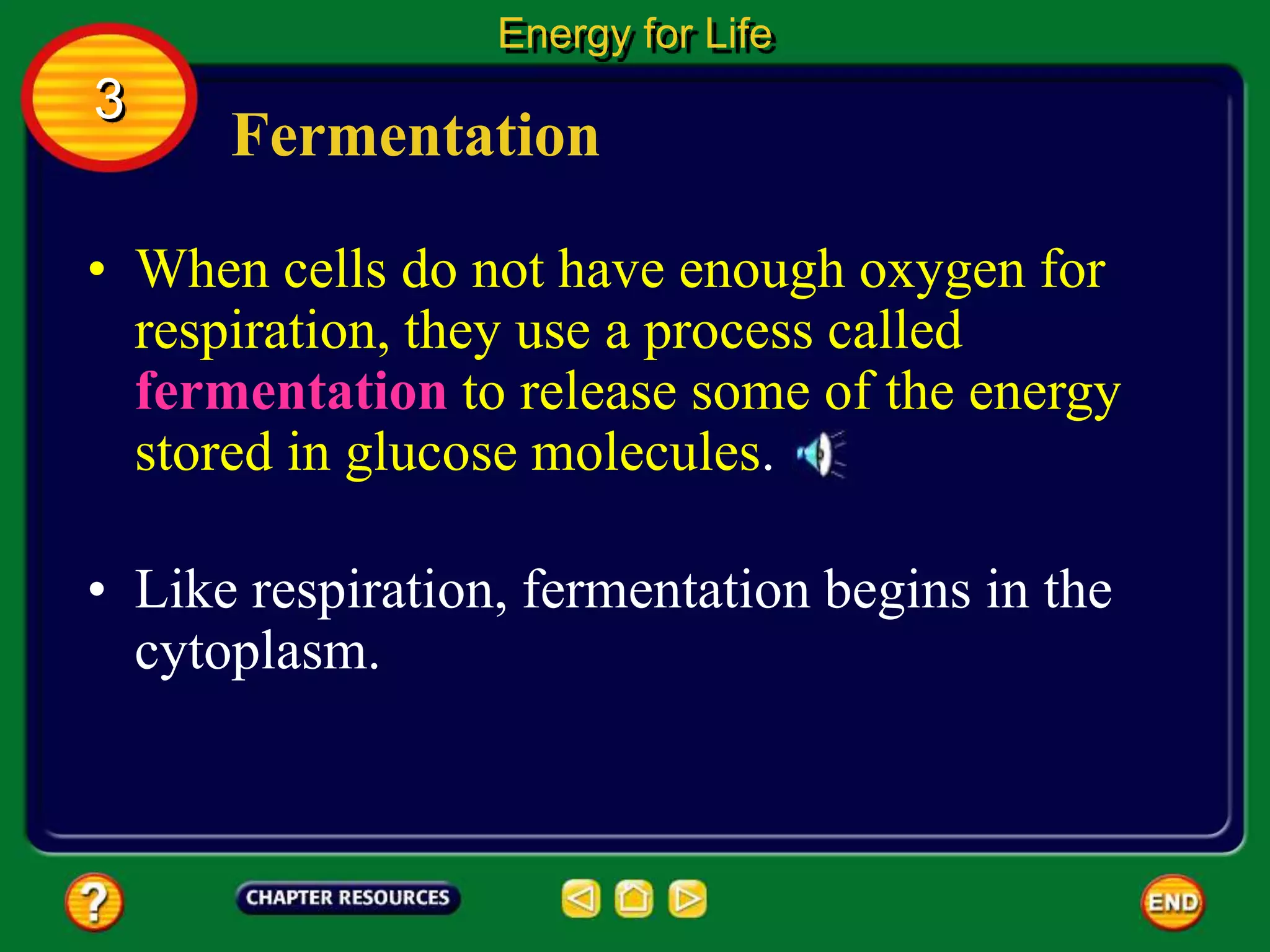 Fermentation
• When cells do not have enough oxygen for
respiration, they use a process called
fermentation to release some of the energy
stored in glucose molecules.
Energy for Life
3
• Like respiration, fermentation begins in the
cytoplasm.
 