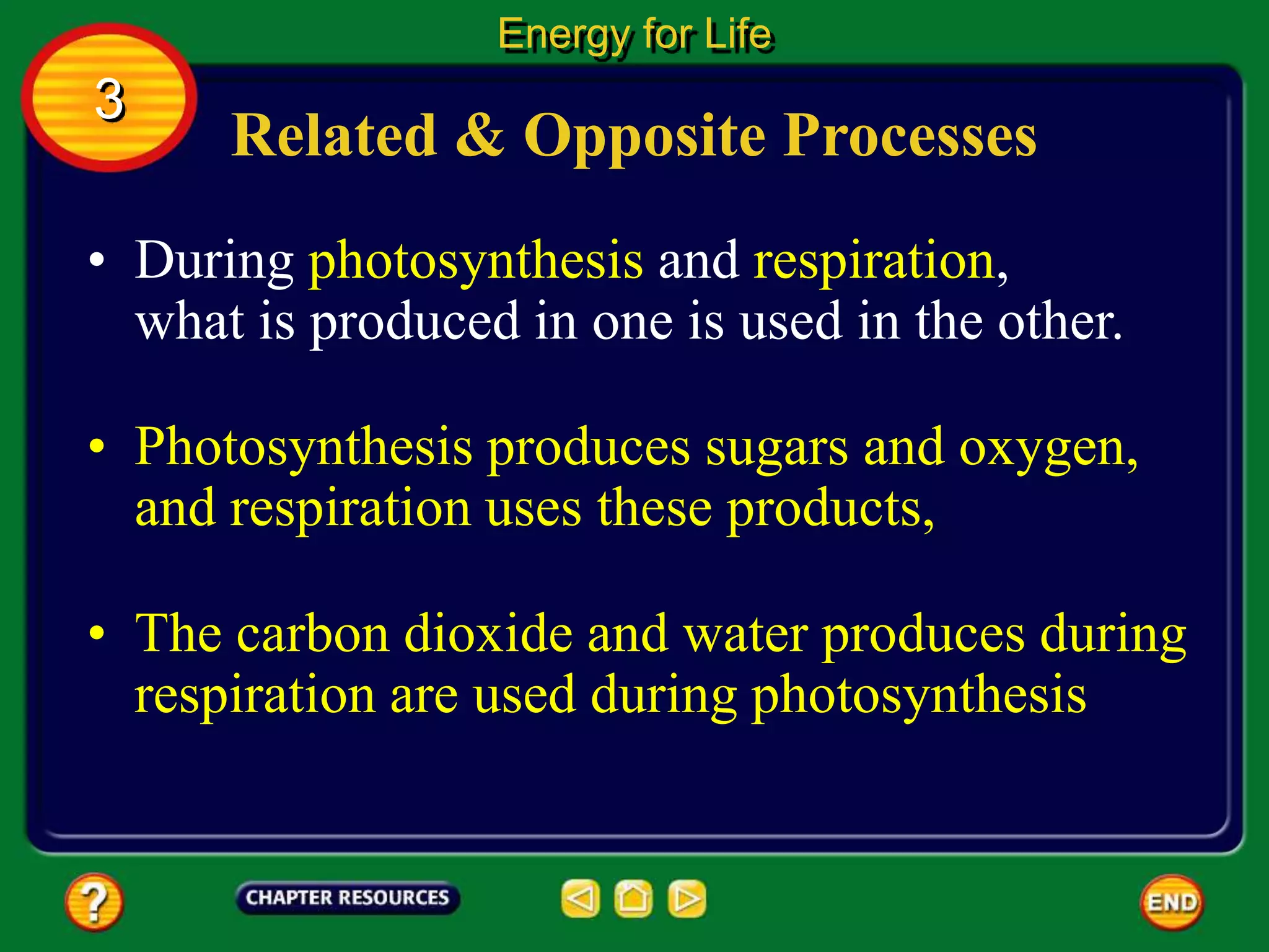 Related & Opposite Processes
• During photosynthesis and respiration,
what is produced in one is used in the other.
Energy for Life
3
• Photosynthesis produces sugars and oxygen,
and respiration uses these products,
• The carbon dioxide and water produces during
respiration are used during photosynthesis
 