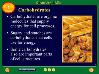 • Carbohydrates are organic
molecules that supply
energy for cell processes.
Carbohydrates
Chemistry in Life
1
• Sugars and starches are
carbohydrates that cells
use for energy.
• Some carbohydrates
also are important parts
of cell structures.
 