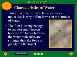 • This attraction, or force, between water
molecules is why a film forms on the surface
of water.
Characteristics of Water
Chemistry in Life
1
• The film is strong enough
to support small insects
because the forces between
the water molecules are
stronger than the force of
gravity on the insect.
 