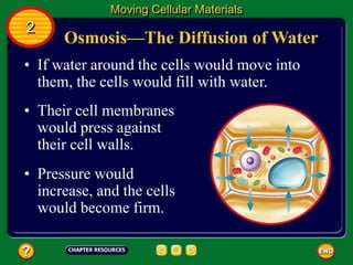 Osmosis—The Diffusion of Water
• If water around the cells would move into
them, the cells would fill with water.
Moving Cellular Materials
2
• Their cell membranes
would press against
their cell walls.
• Pressure would
increase, and the cells
would become firm.
 
